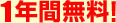1�N�Ԗ����I