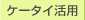 �P�[�^�C���p