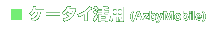 �P�[�^�C���p(AzbyMobile)