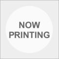 VR Bridge �ʏ��