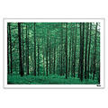 Digital Post Card Book / ����