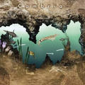 AQUAZONE 水中庭園 カンブリア紀 Win版