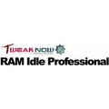 RAM Idle Professional