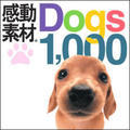 �����f��Dogs1000