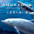AQUAZONE Open Water 小笠原の蒼い海