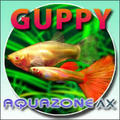 AQUAZONE AX グッピー