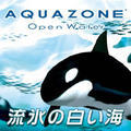 AQUAZONE Open Water 流氷の白い海