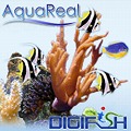 Aqua Real