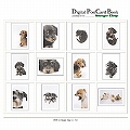 Digital Post Card Book / �h�b�O(2)