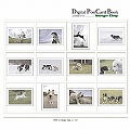 Digital Post Card Book / �h�b�O�X���C�t