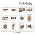 Digital Post Card Book / �h�b�O�X�t�@�~���[