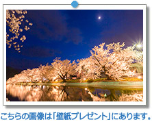 長野県　臥竜公園｜こちらの画像は「壁紙プレゼント」にあります。