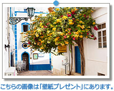 ポルトガル　アルブフェイラ　旧市街のレストラン｜こちらの画像は「壁紙プレゼント」にあります。