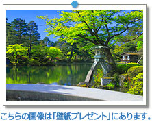 石川県　新緑の兼六園｜こちらの画像は「壁紙プレゼント」にあります。