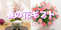 桜や桃にチューリップ-春の花特集2023 開催中