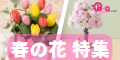 桜や桃にチューリップ-春の花特集2023 開催中