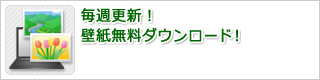 毎週更新!壁紙無料ダウンロード!