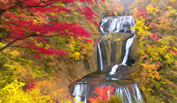 茨城県 紅葉と袋田の滝