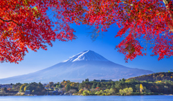 山梨県 富士山と河口湖の紅葉
