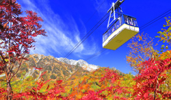 富山県 紅葉の立山ロープウェイ