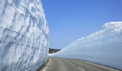岩手県 八幡平アスピーテラインの雪の回廊