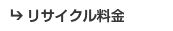 ���T�C�N������