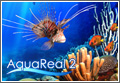 �摜 Aqua Real 2