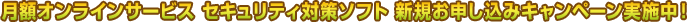 ���z�I�����C���T�[�r�X �Z�L�����e�B�΍�\�t�g �V�K���\�����݃L�����y�[�����{���I