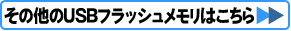 ���̑���USB�t���b�V���������͂������