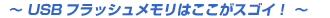 USB�t���b�V���������͂������X�S�C
