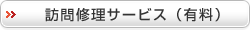 �K��C���T�[�r�X�i�L���j
