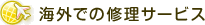 �C�O����C���T�[�r�X
