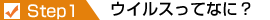 step1 �E�C���X���ĂȂɁH