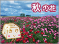 �摜�F�l�C�L�������L���O��2��