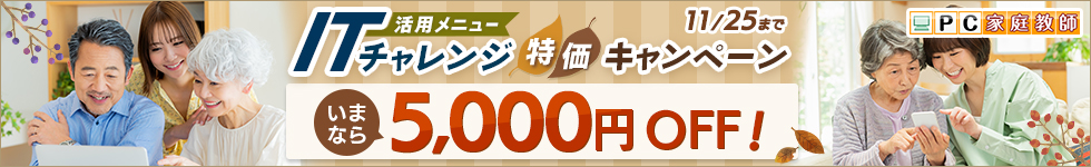 ITチャレンジ特価キャンペーン ITチャレンジメニュー【訪問レッスン60分】が、いまなら5,000円OFF! 2024年11月25日(月)お申し込み分まで