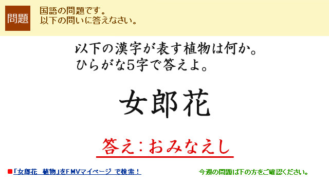 以下の漢字が表す植物は何か。ひらがな5字で答えよ。女郎花 答え：おみなえし