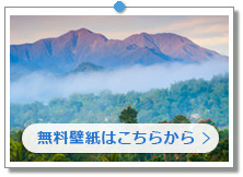 W}CJ u[}Eeb̉摜́uǎv[gvɂ܂B