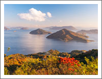 「秋の風景壁紙」