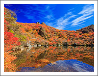 「秋の風景壁紙」