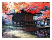 「絶景壁紙の旅 秋 第2弾」