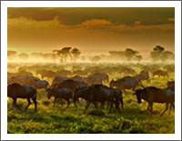 「世界の風景壁紙」