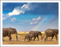 「世界の風景壁紙」