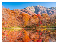 「秋の風景壁紙」