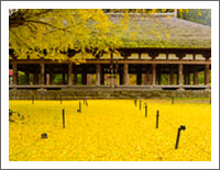 「秋の風景壁紙」