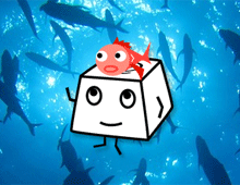 魚のことわざタイピング【実践!タッチタイピング】