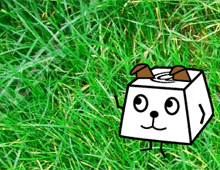 犬のことわざタイピング【実践!タッチタイピング】