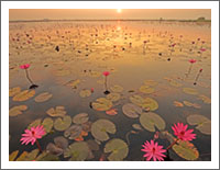 「世界の風景壁紙」