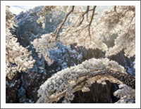 「世界の風景壁紙」