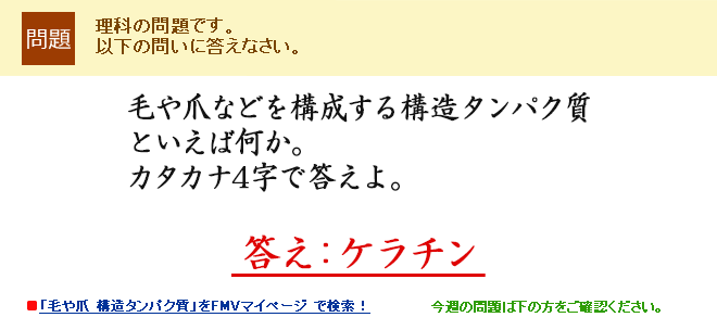 �т�܂Ȃǂ��\������\���^���p�N���Ƃ����Ή����B�J�^�J�i4���œ�����B �����F�P���`��