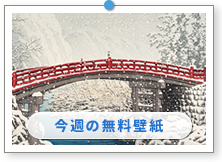 �쐣�b���u�����_���̐�v�b�A�[�g�̕ǎ��b������̉摜�́u�ǎ��v���[���g�v�ɂ���܂��B